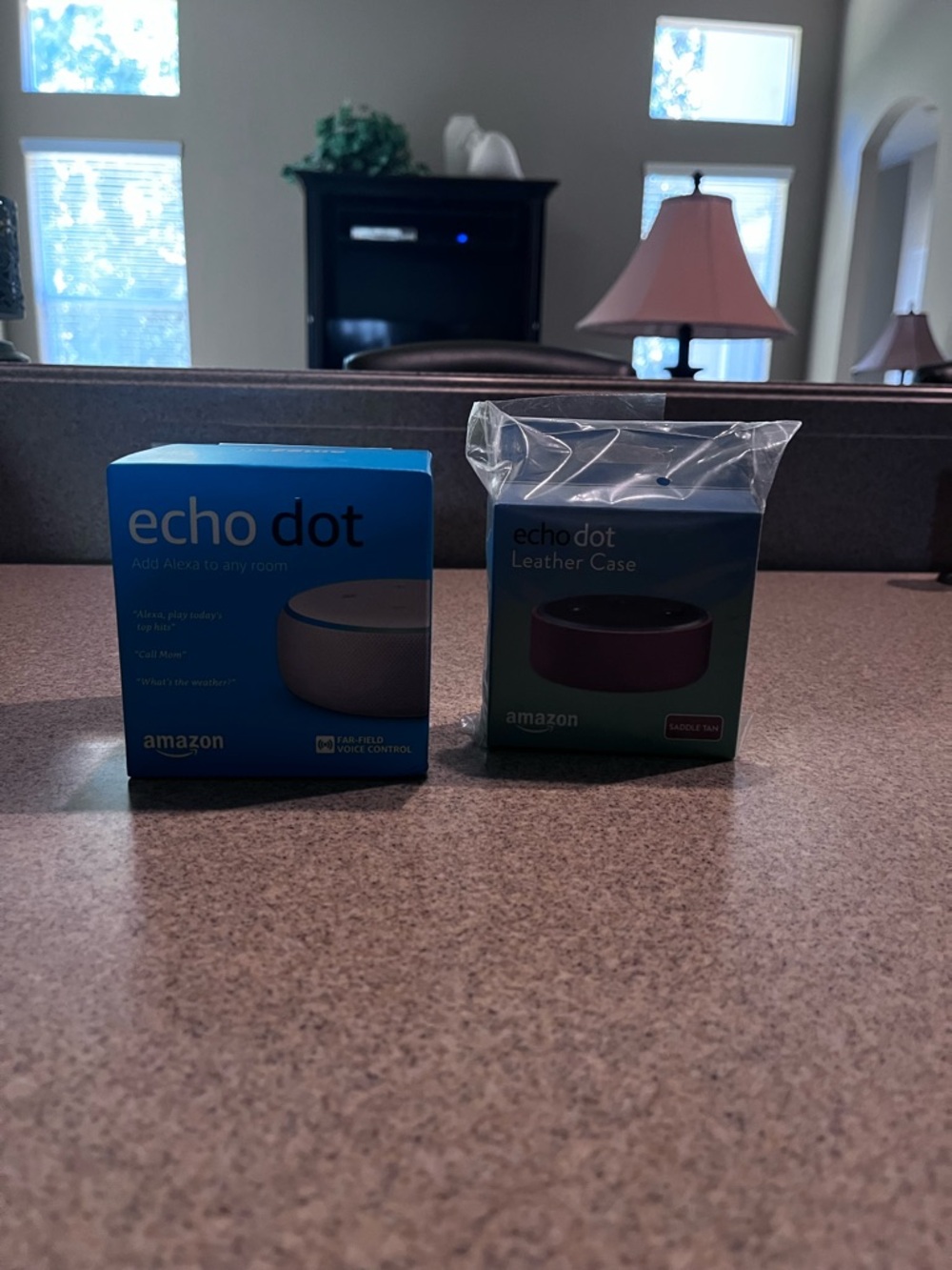 Amazon Echo Dot with Blue Retail Box and Maroon Leather Case